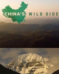 Дикая природа Китая. Царство дикой природы Тибета (2017) смотреть онлайн
